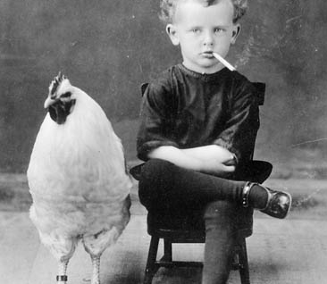 The Controversial poultry strategy
