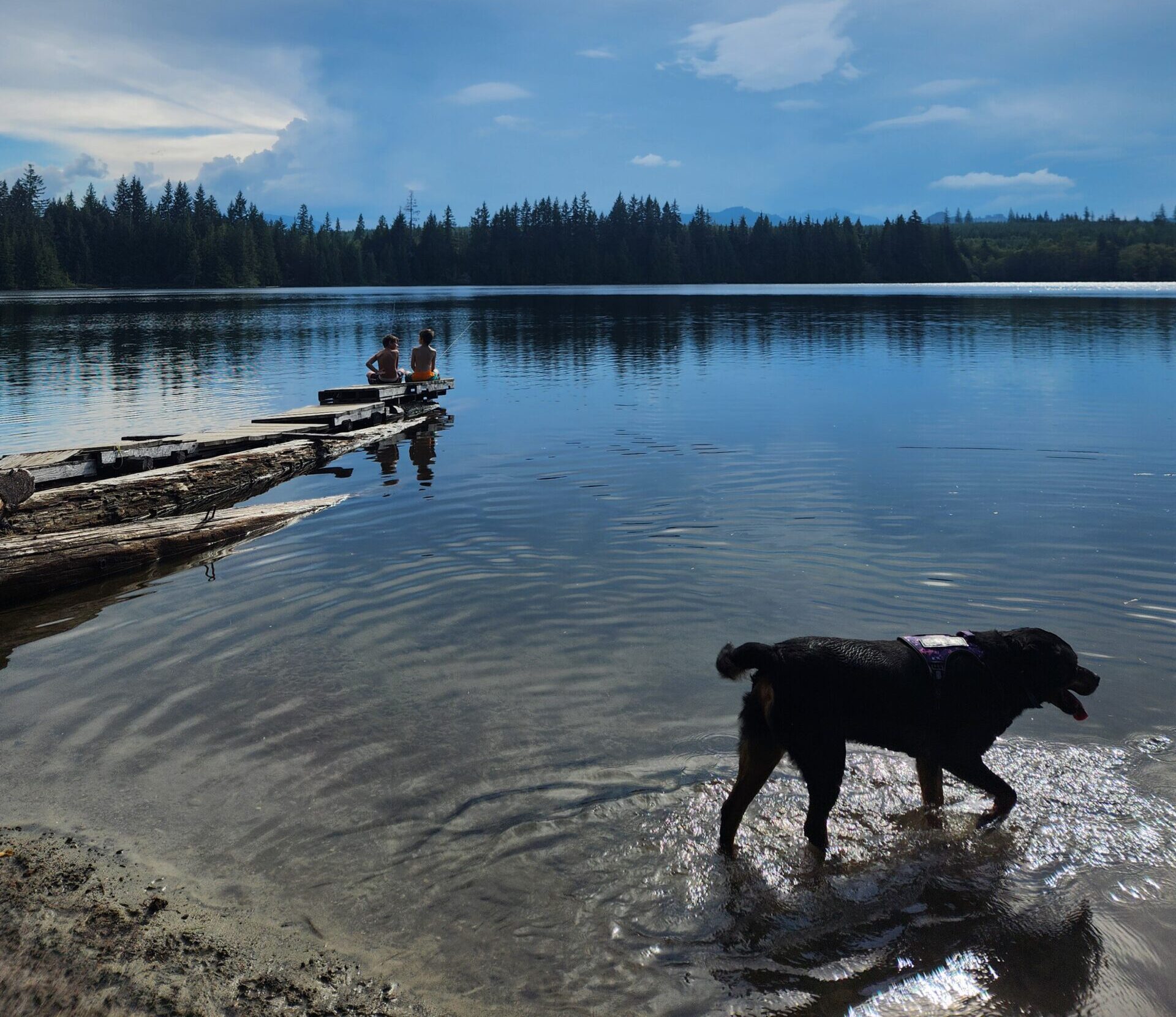 Teaching kids trout fishing and the horrific state of BRITISH COLUMBIA’S wilderness